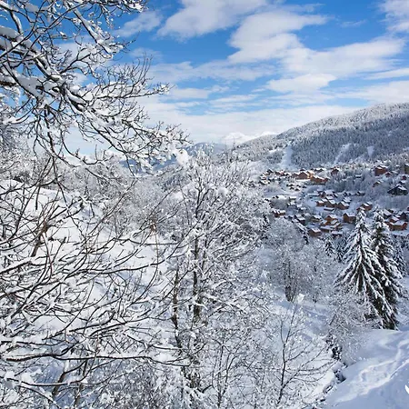 à Méribel - Skis Aux Pieds, Animaux Admis - Fr-1-182-200