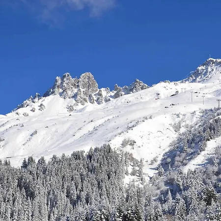 à Méribel - Skis Aux Pieds, Animaux Admis - Fr-1-182-200 *